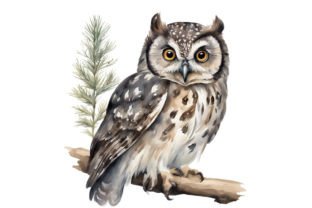 „Co w lesie huczy?” – wyniki konkursu